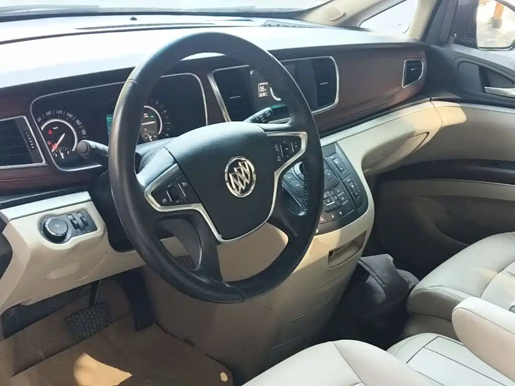 Buick GL8 — миниатюра 10