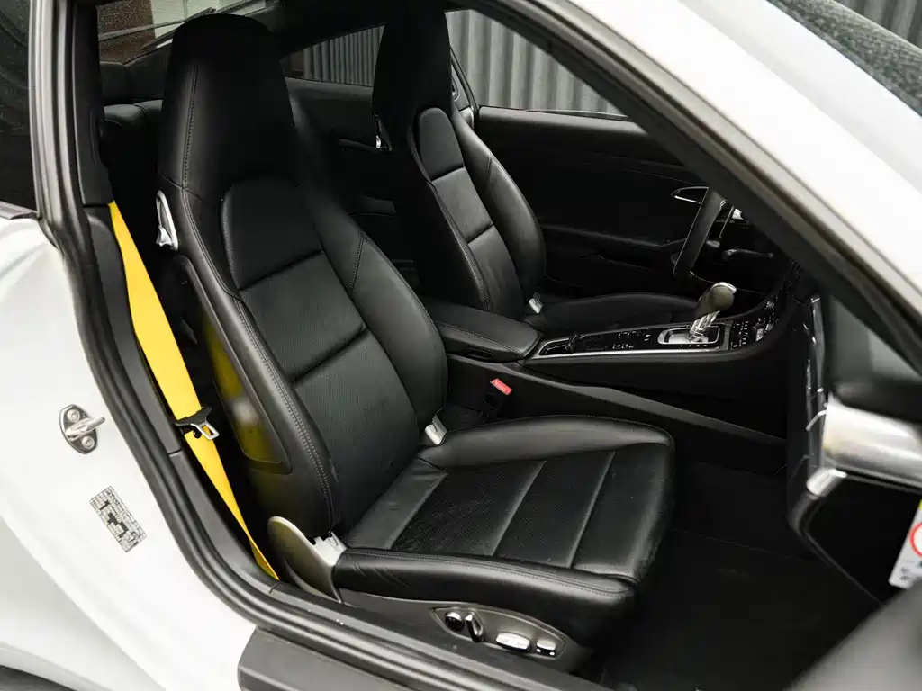 Porsche 911 — миниатюра 8