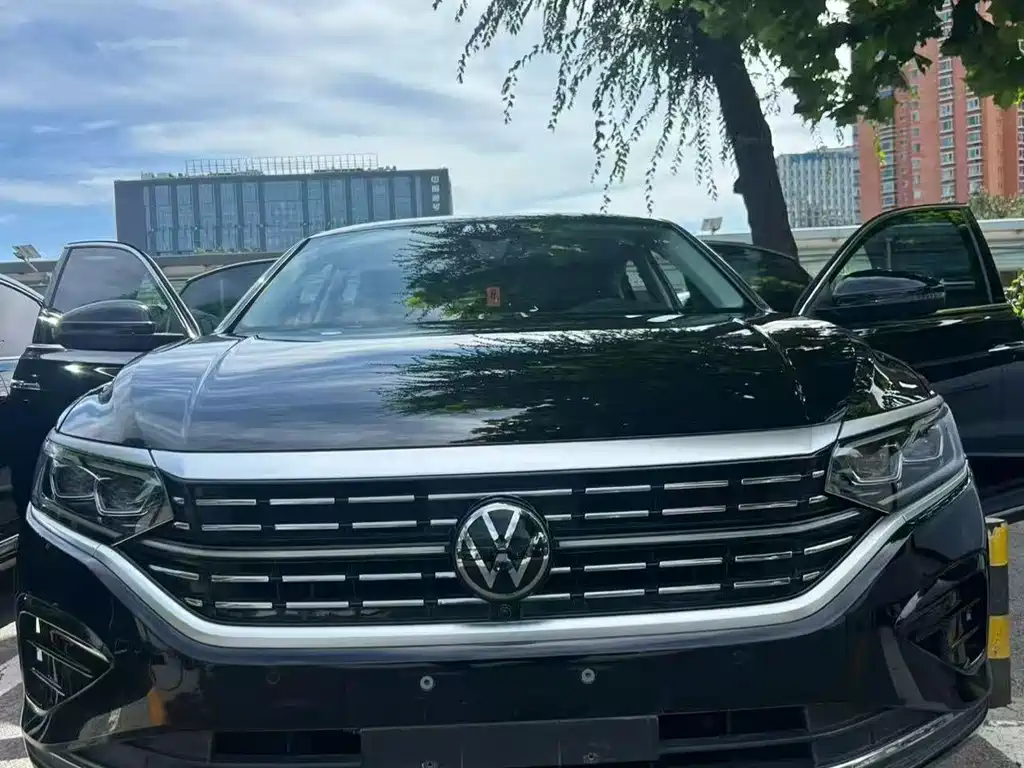 Volkswagen Passat — миниатюра 2