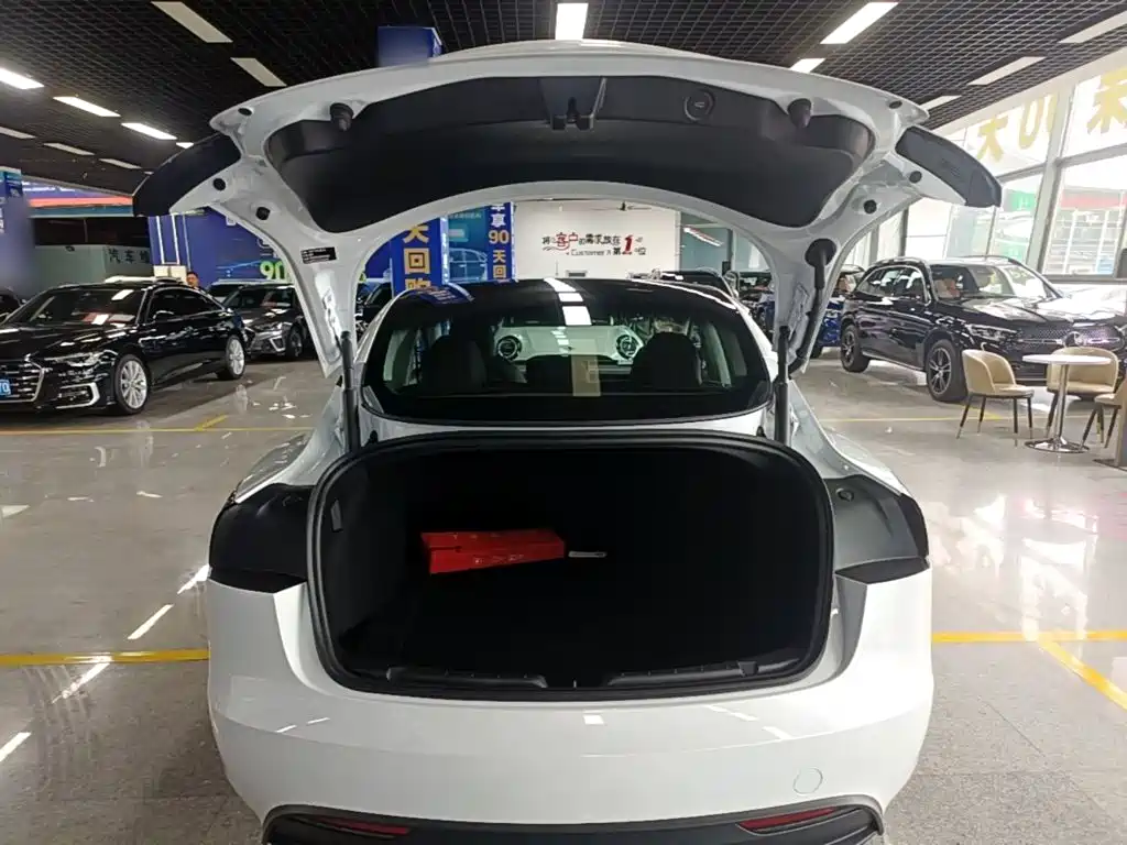 Tesla Model 3 — миниатюра 19