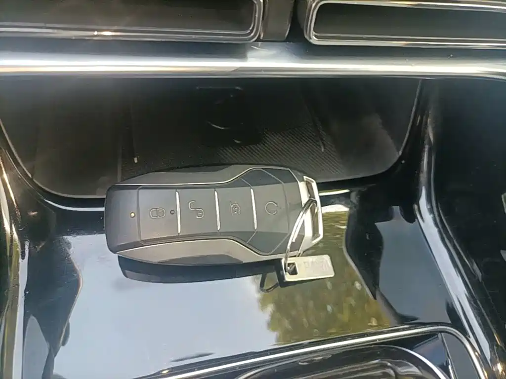 BYD PLUS New Energy — миниатюра 9