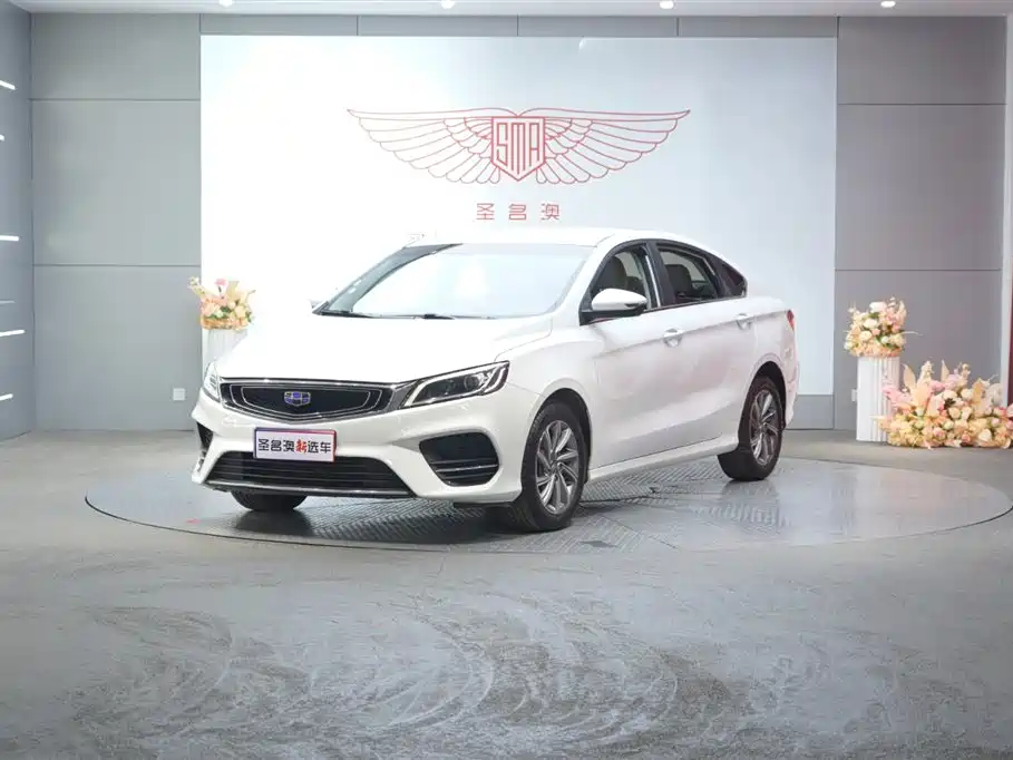 GEELY AUTOMOBILE BINRUI