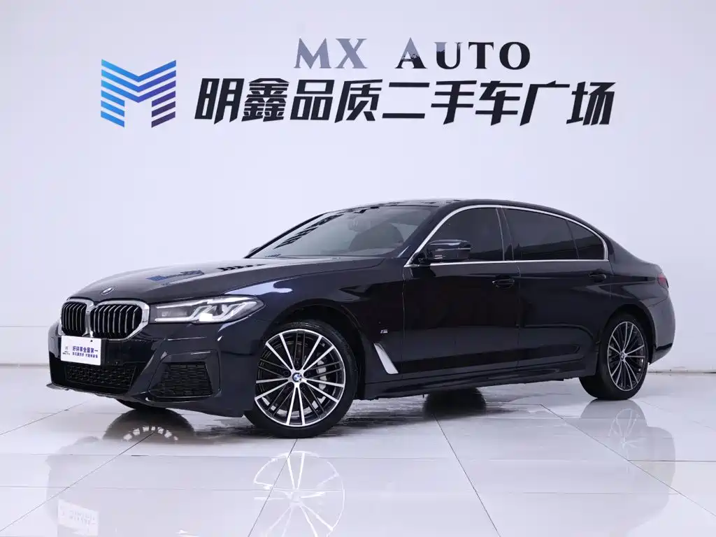 BMW 5 Series — миниатюра 2