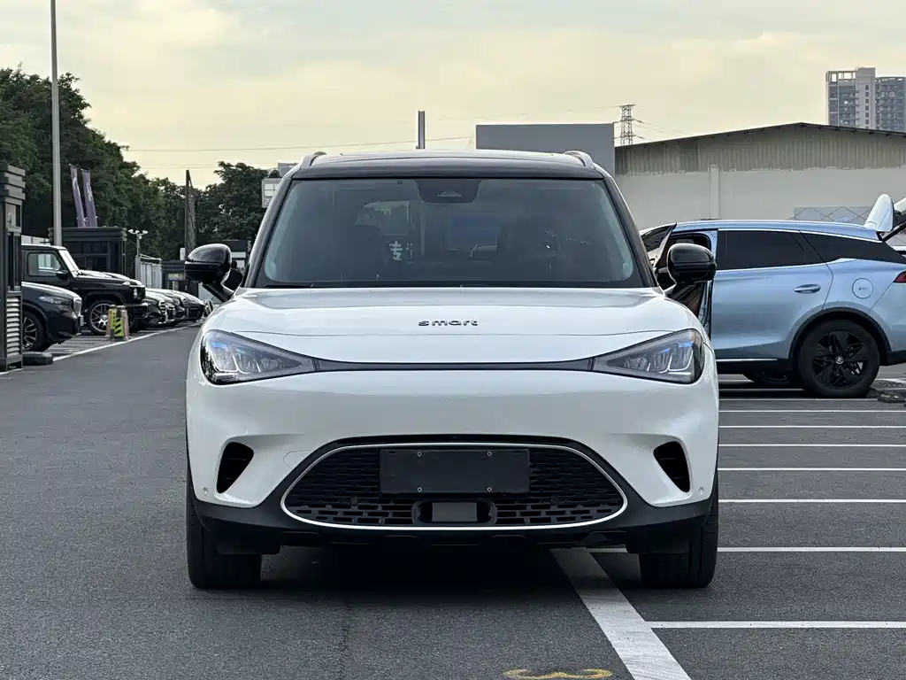 Smart #1 2022 Pulse