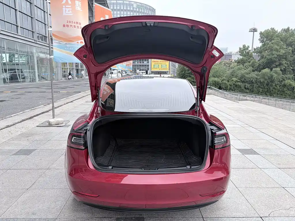 Tesla Model 3 — миниатюра 7