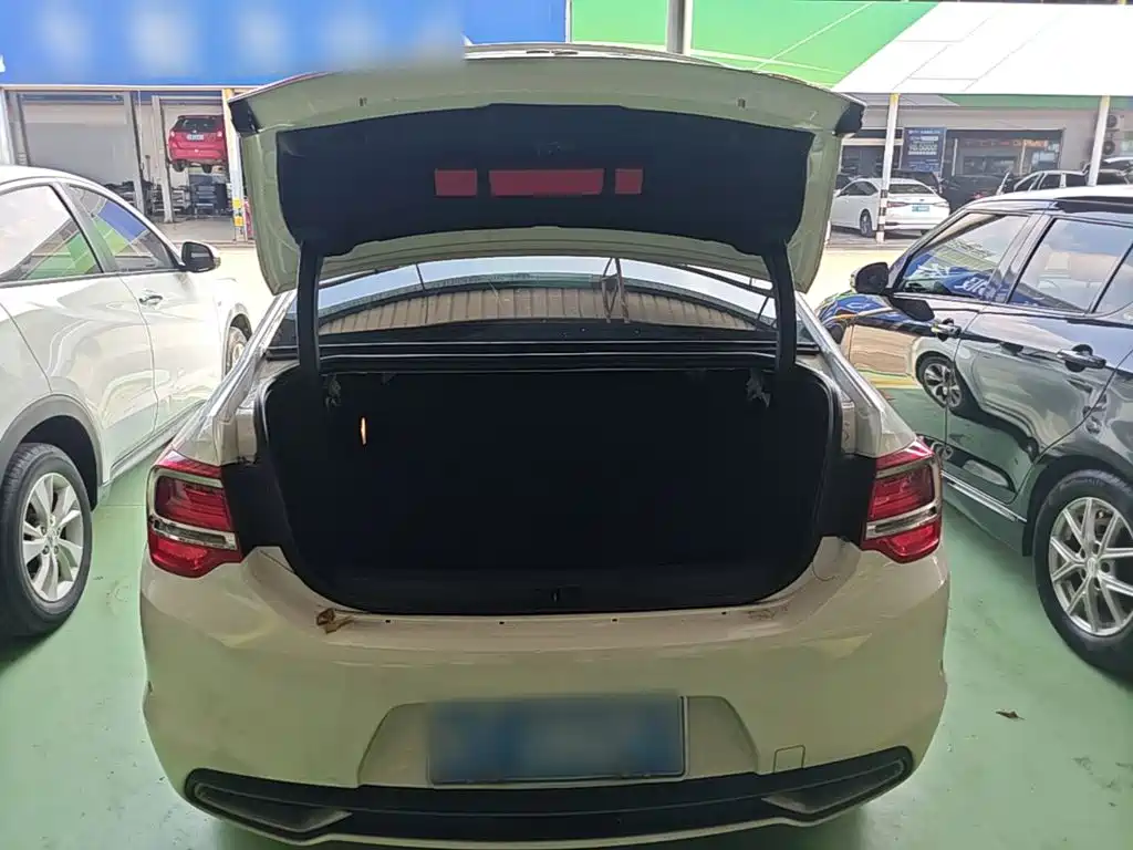 DS DS 5LS — миниатюра 19