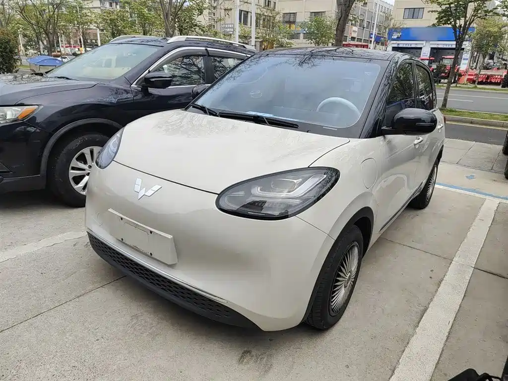 Wuling Bingo 2024