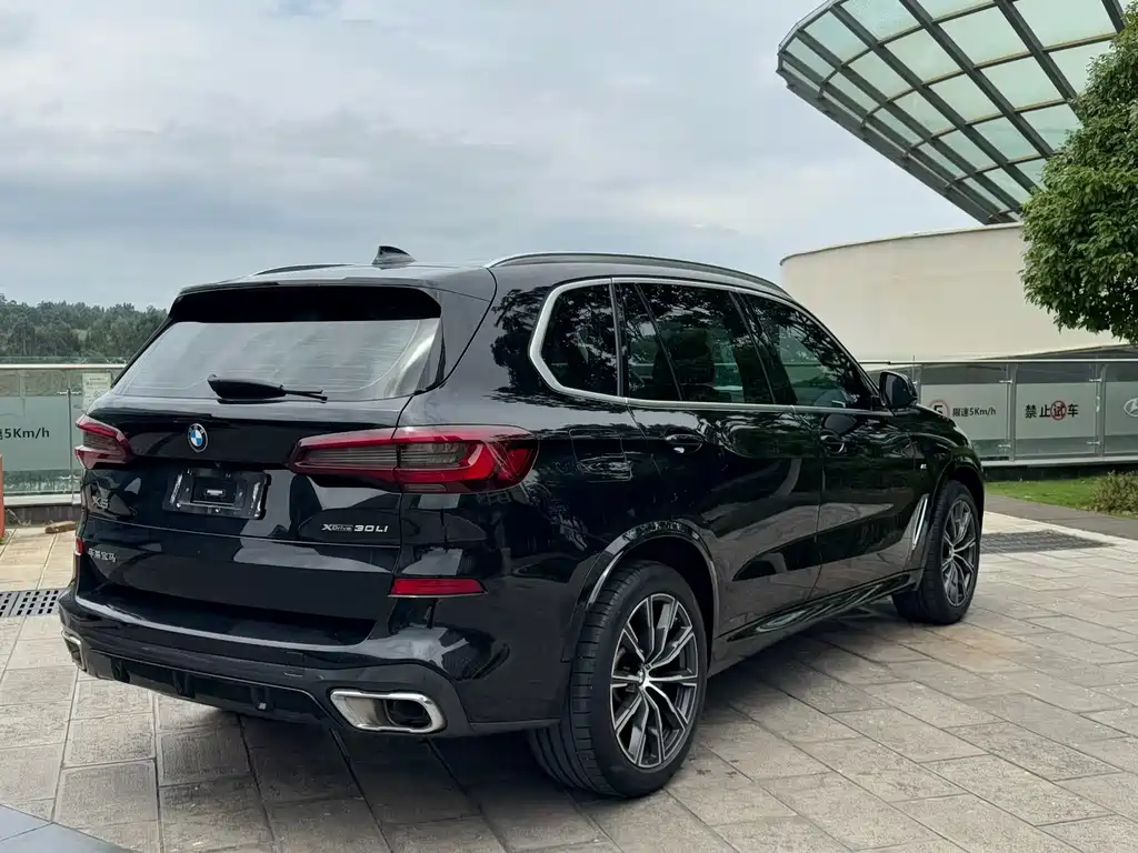 BMW X5 2022 xDrive 30Li Premium M Sport