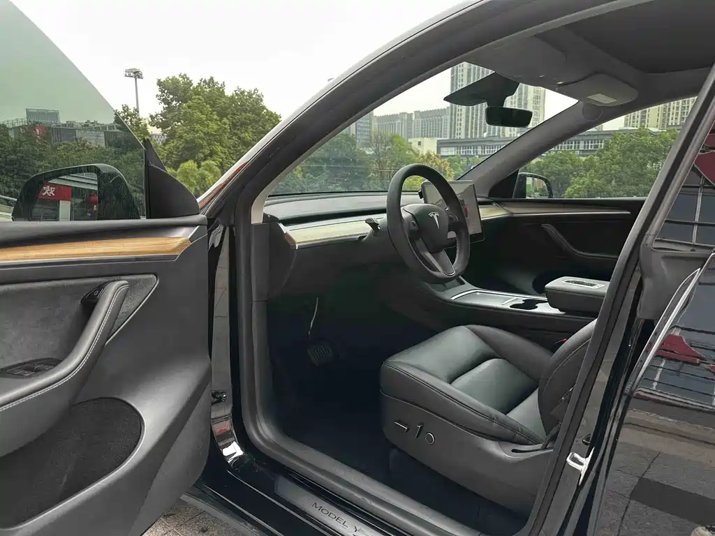 Tesla Model Y — миниатюра 14