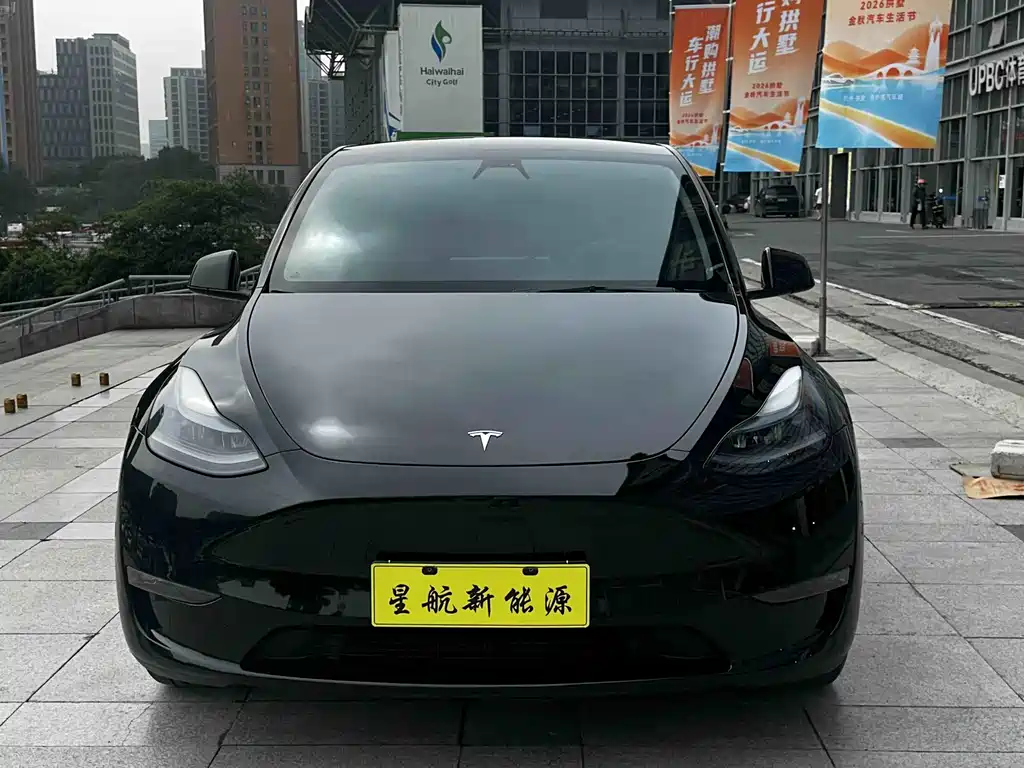 Tesla Model Y — миниатюра 2