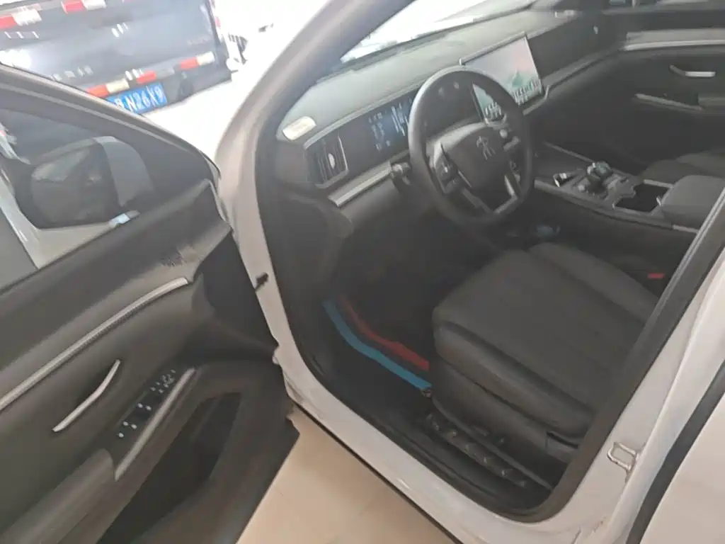 BYD Pro New Energy — миниатюра 16