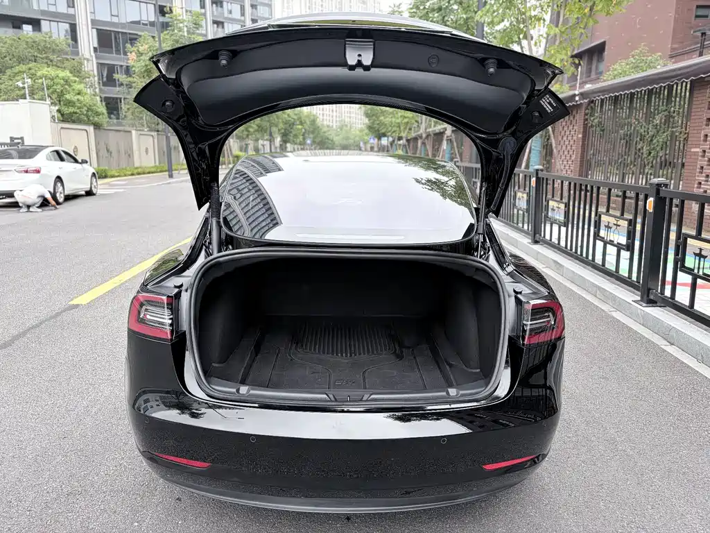 Tesla Model 3 — миниатюра 8