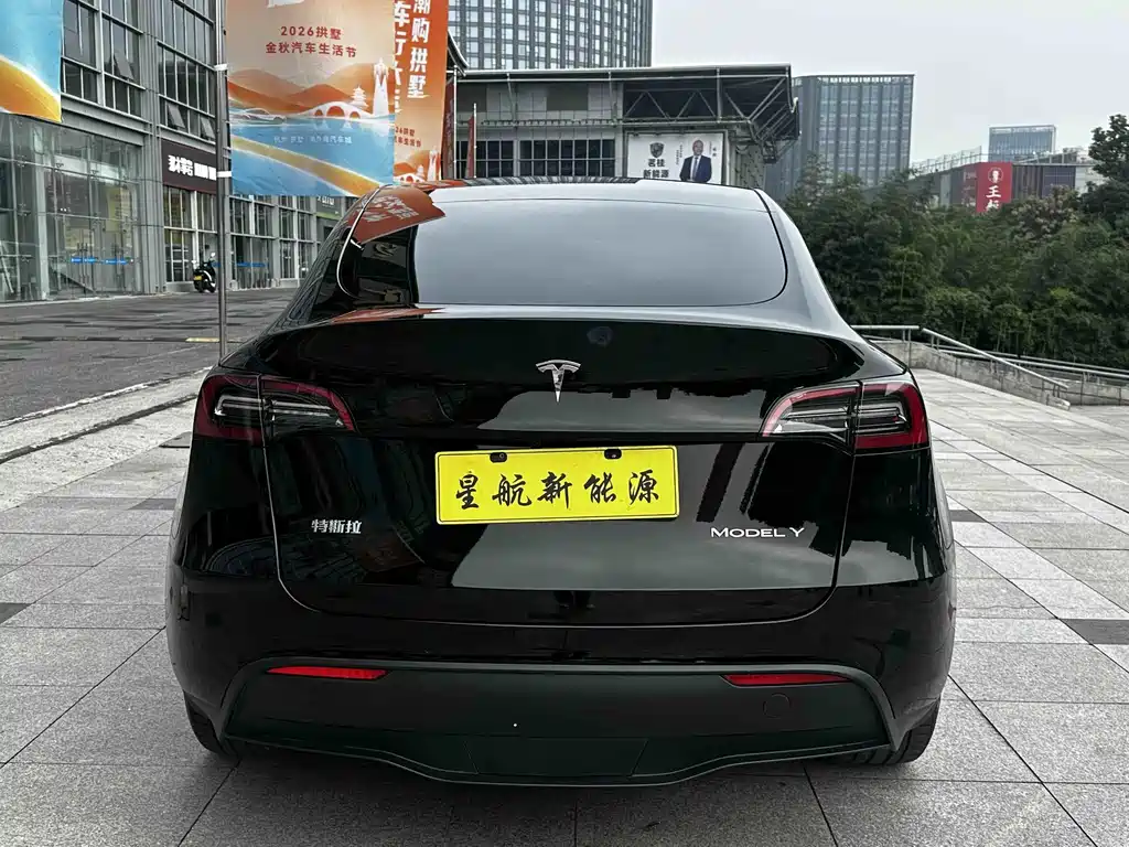 Tesla Model Y — миниатюра 8