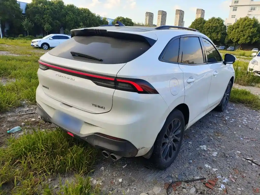 Fengxing Fengxing T5 EVO — миниатюра 7