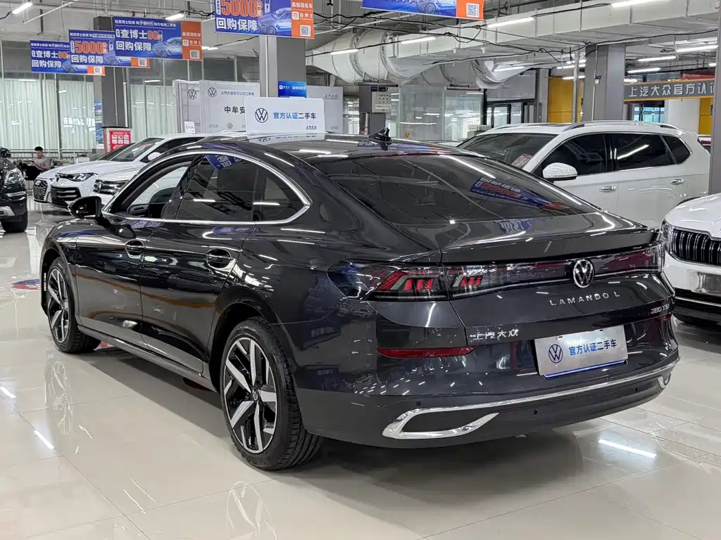 Volkswagen Lamando — миниатюра 6