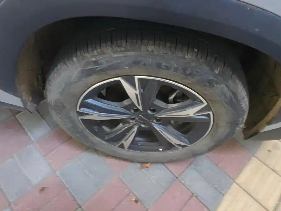 Jetour Dasheng — миниатюра 6