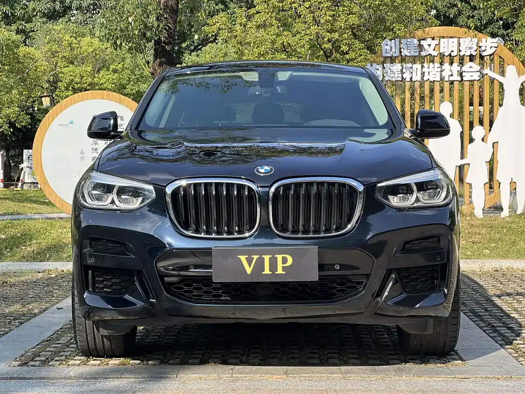 BMW X4 — миниатюра 2