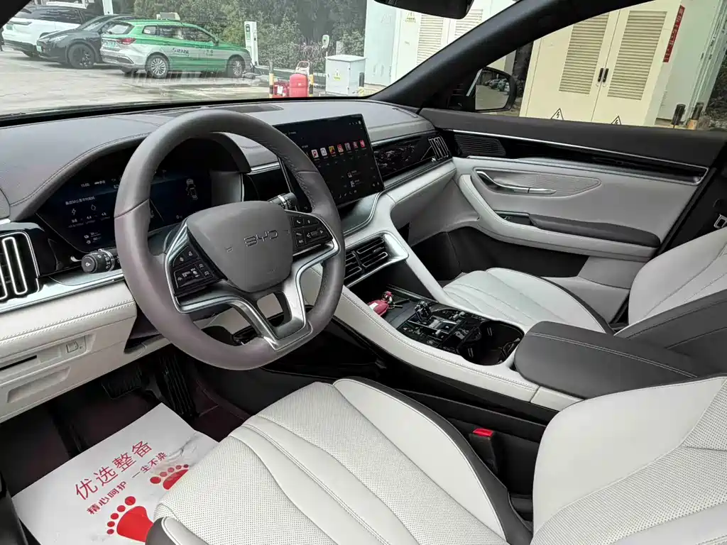 BYD PLUS New Energy — миниатюра 2