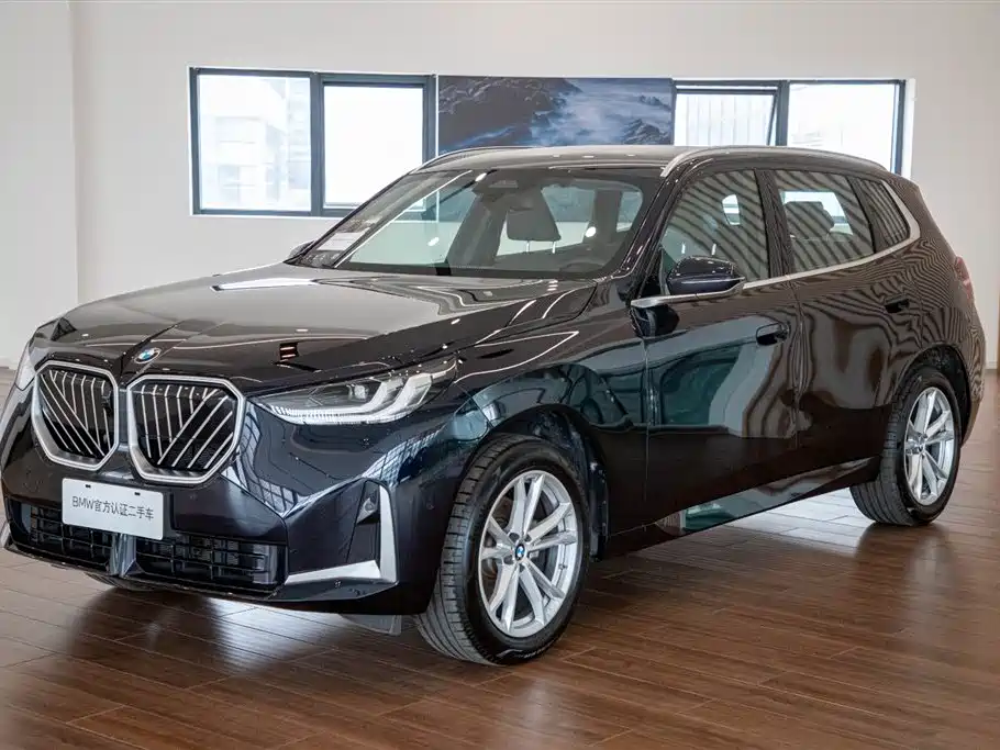 BMW X3 — миниатюра 2