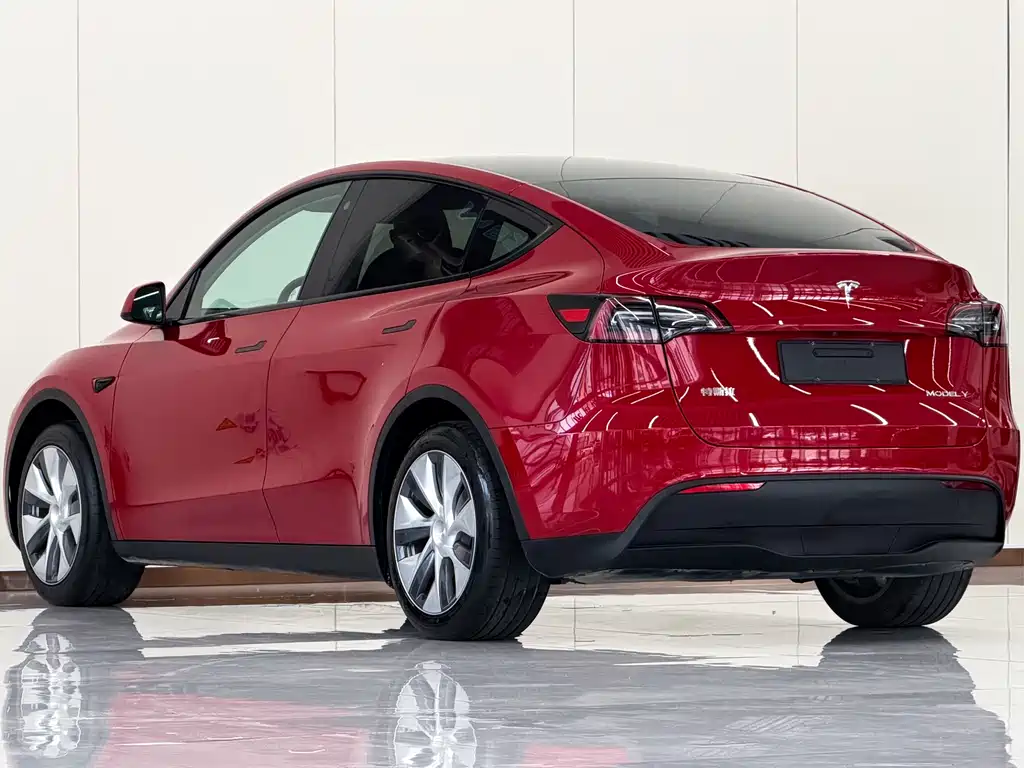 Tesla Model Y — миниатюра 4