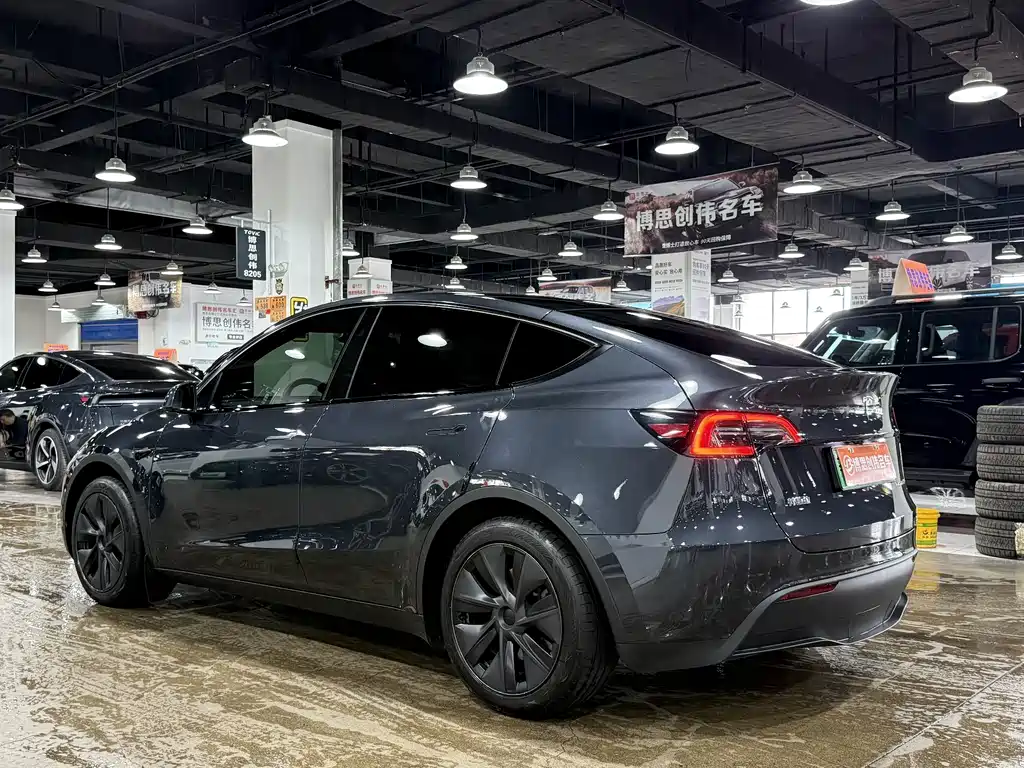Tesla Model Y — миниатюра 7