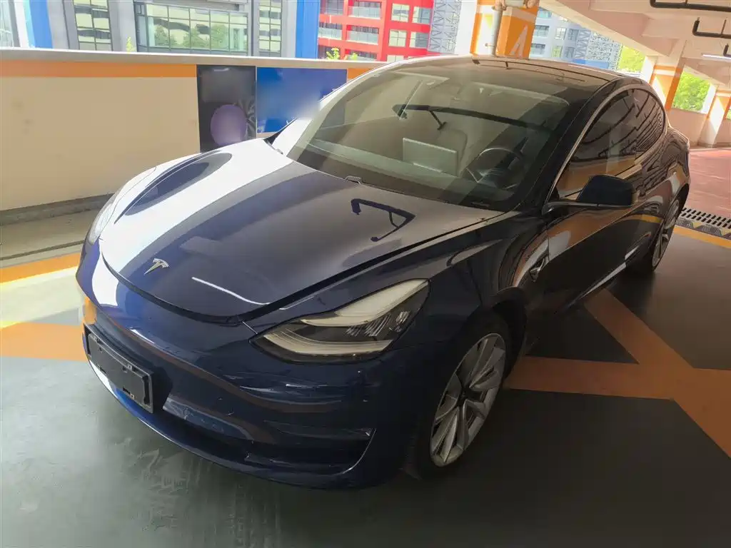 Tesla Model 3 2019