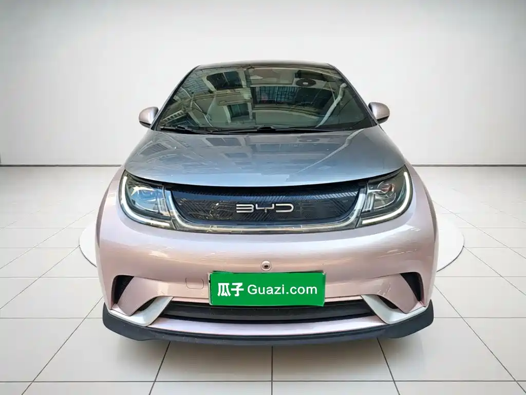 BYD Dolphin — миниатюра 2