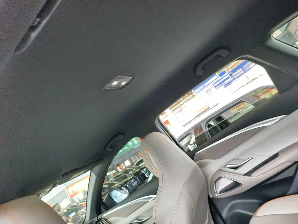 BYD Pro New Energy — миниатюра 15