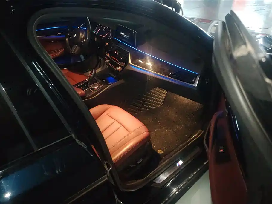 BMW 5 Series 5 2019 530Li xDrive M Sport