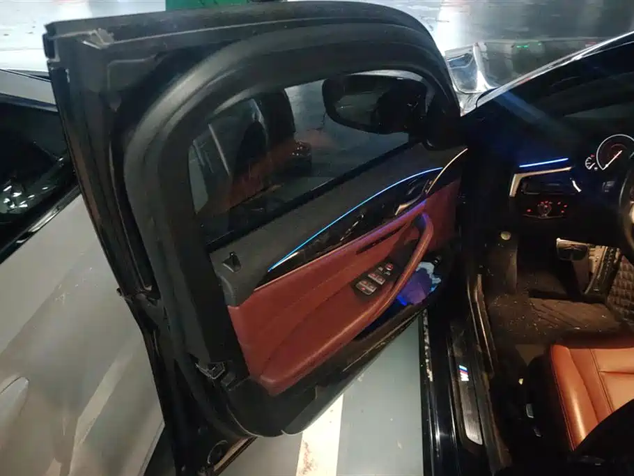 BMW 5 Series 5 2019 530Li xDrive M Sport