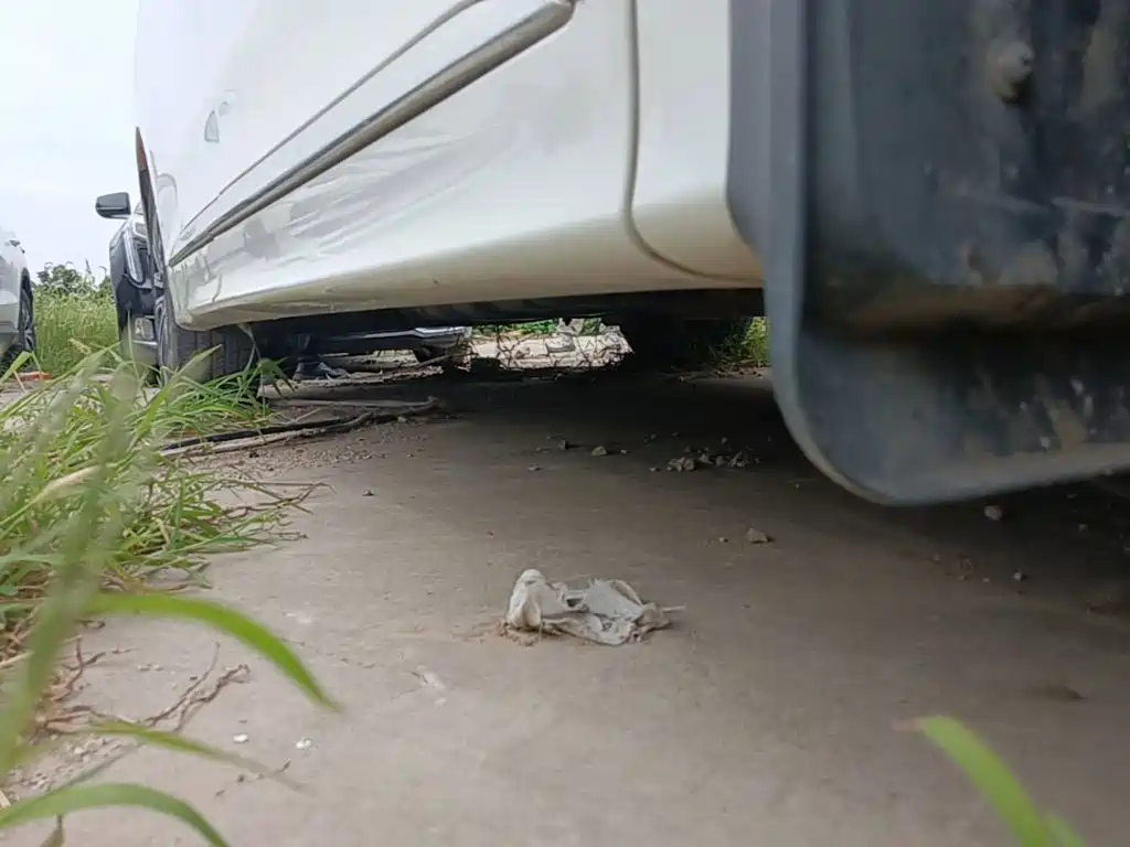 GAC Motor Trumpchi M8 — миниатюра 21