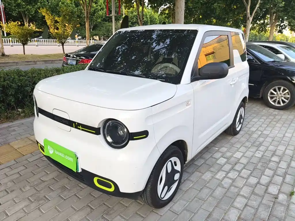 BYD Panda 2025 Panda mini 210km Energetic Bear