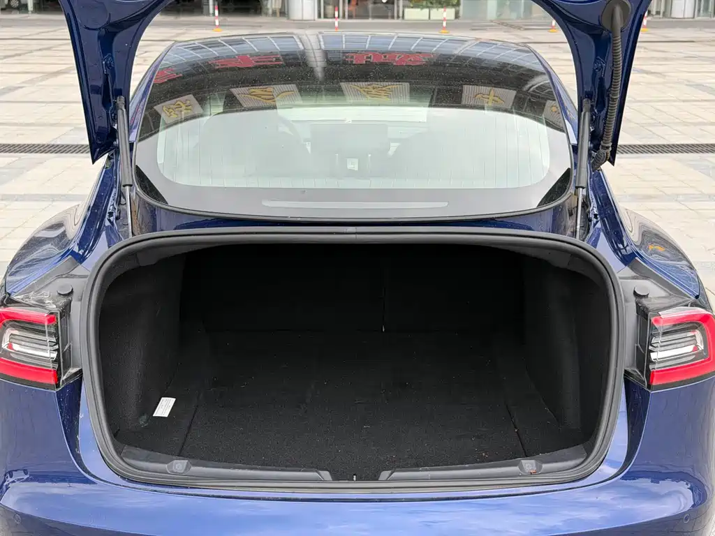 Tesla Model 3 — миниатюра 14