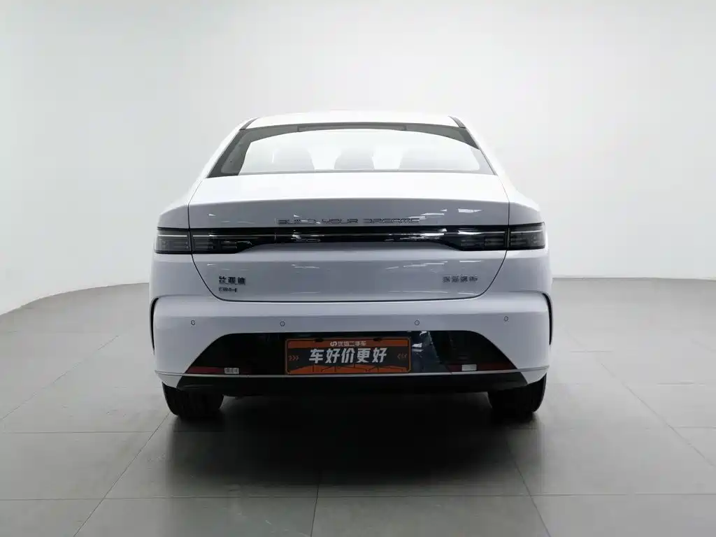 BYD Destroyer 05 — миниатюра 4