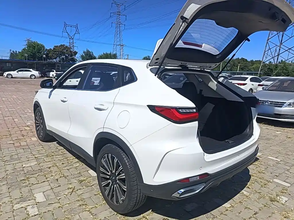 Oshan Oushang X5 — миниатюра 5