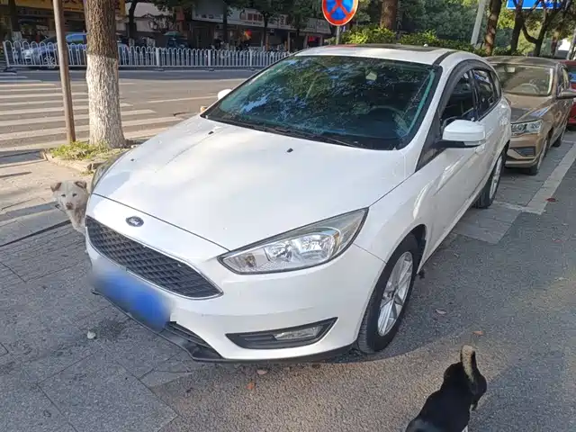 FORD FOX 2019