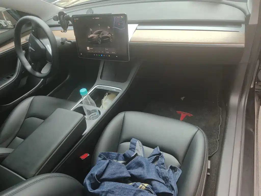 Tesla Model 3 — миниатюра 19