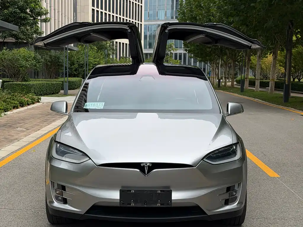 Tesla Model X — миниатюра 7