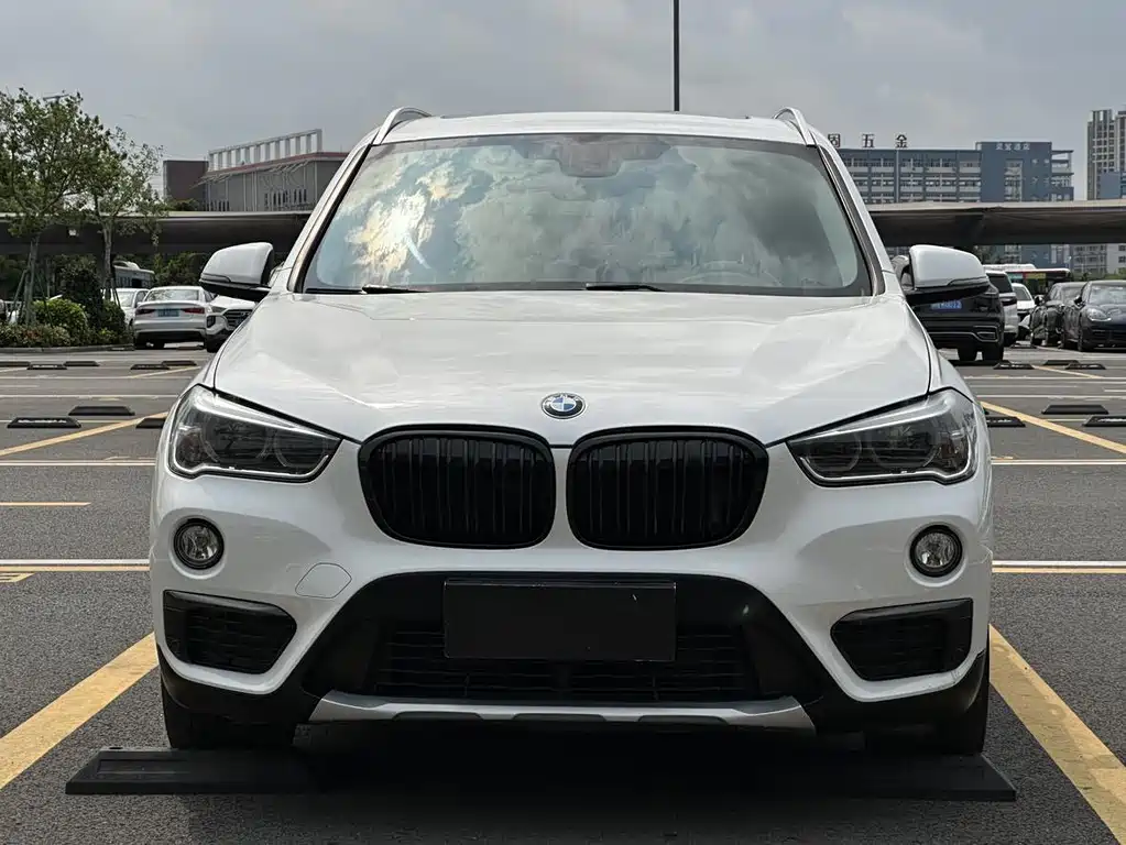 BMW X1 — миниатюра 2