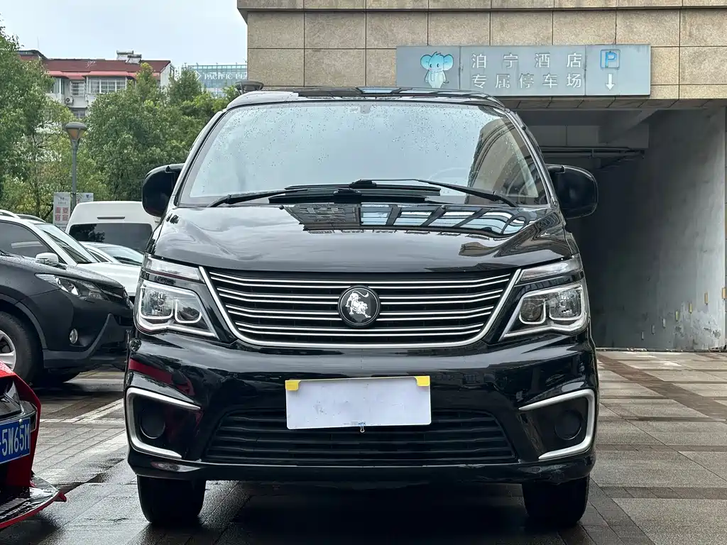 Fengxing Lingzhi — миниатюра 2