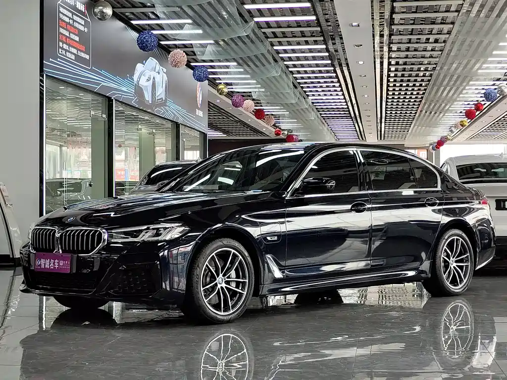 BMW 5 SERIES NEW ENERGY