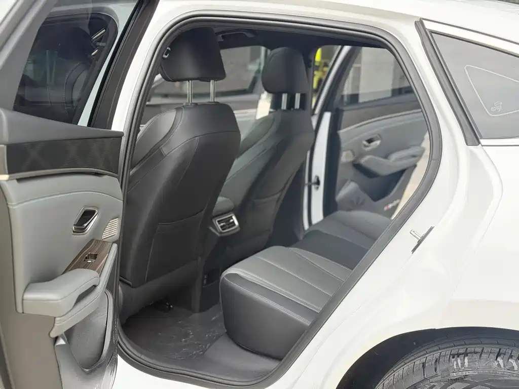 BYD QIN L