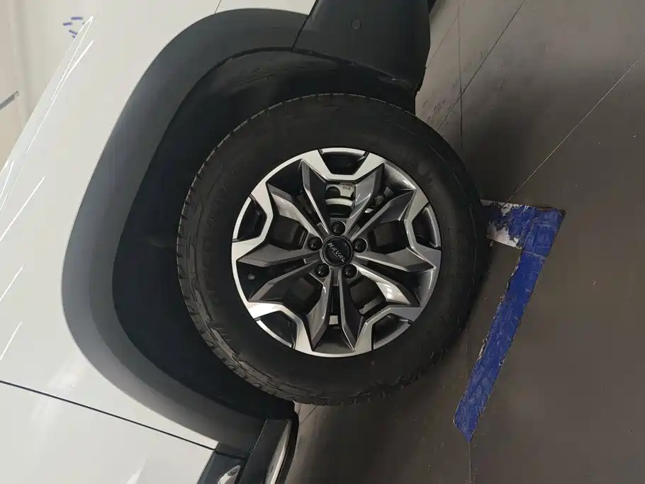 Haval Big Dog — миниатюра 6