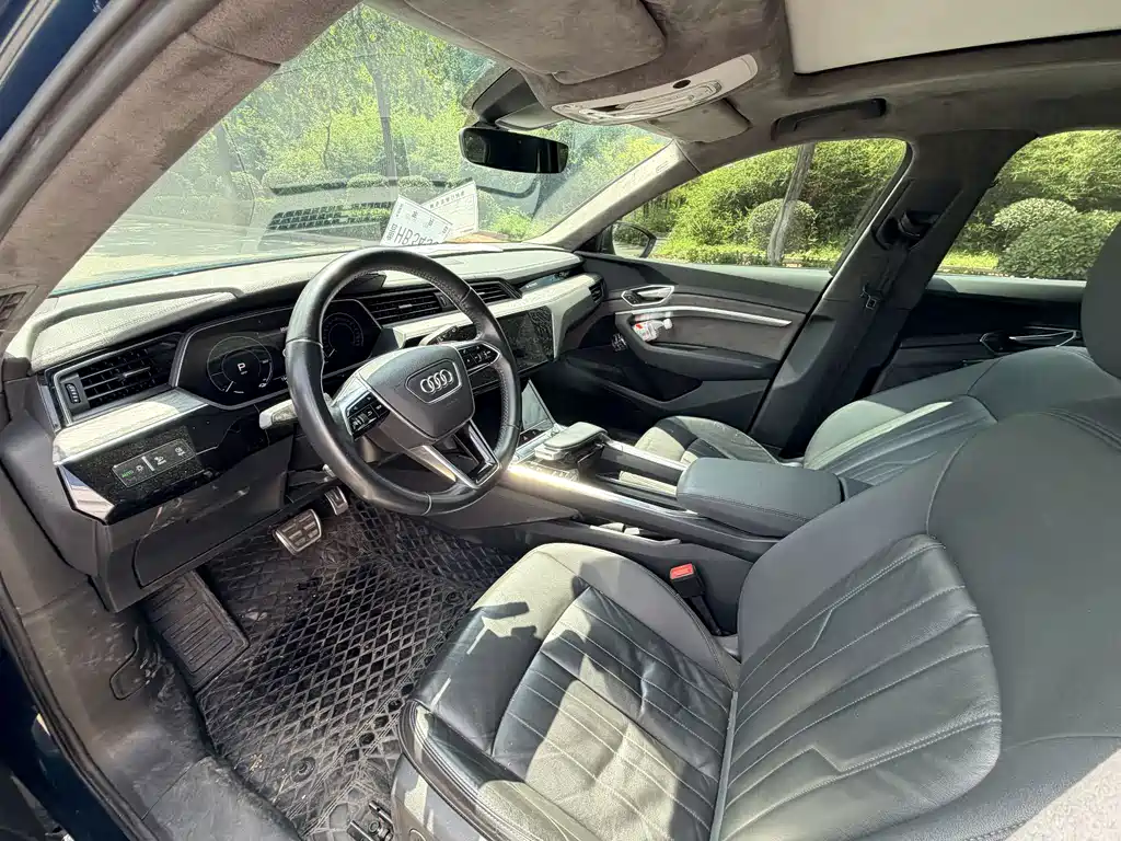 Audi e-tron (Import) — миниатюра 7
