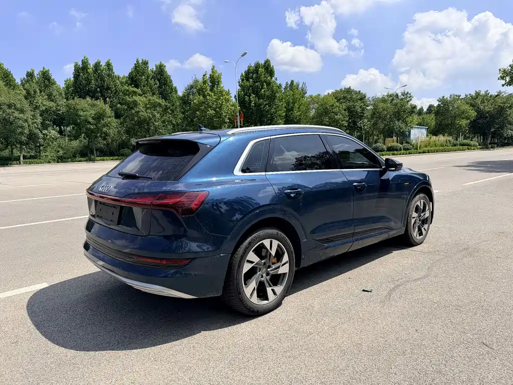 Audi e-tron (Import) — миниатюра 6
