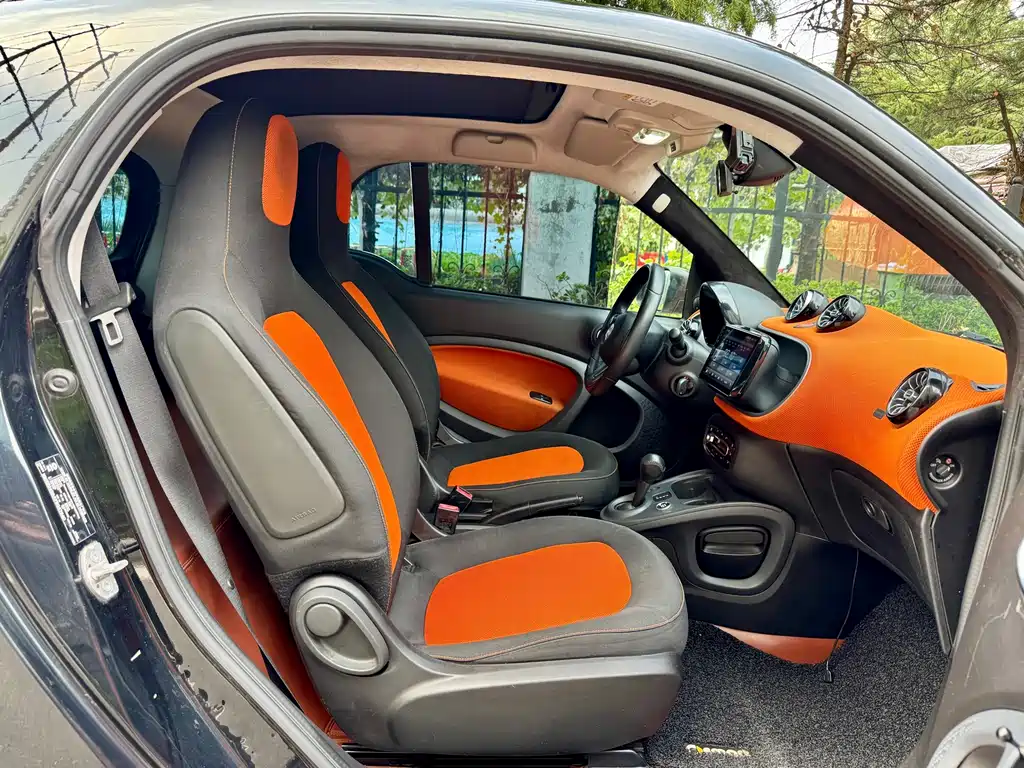 smart Smart Fortwo — миниатюра 17
