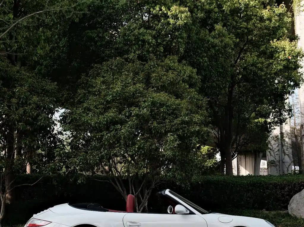 Porsche 911 2010 Carrera Cabriolet 3.6L