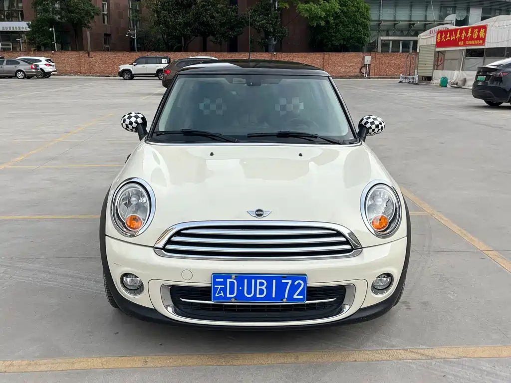 Mini Mini 2013