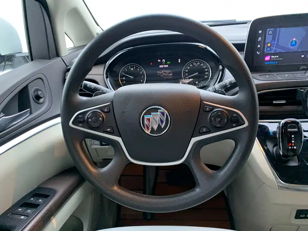 Buick GL8 — миниатюра 20