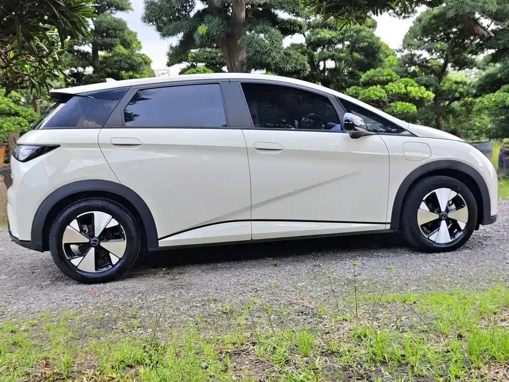 BYD Dolphin — миниатюра 13